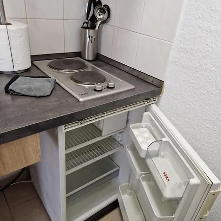 公寓 Zentrale Und Komfortable 莱比锡